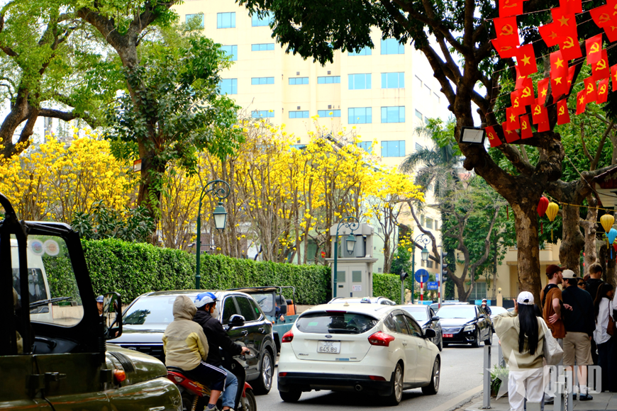 Hà Nội đẹp lãng mạn mùa hoa tháng ba